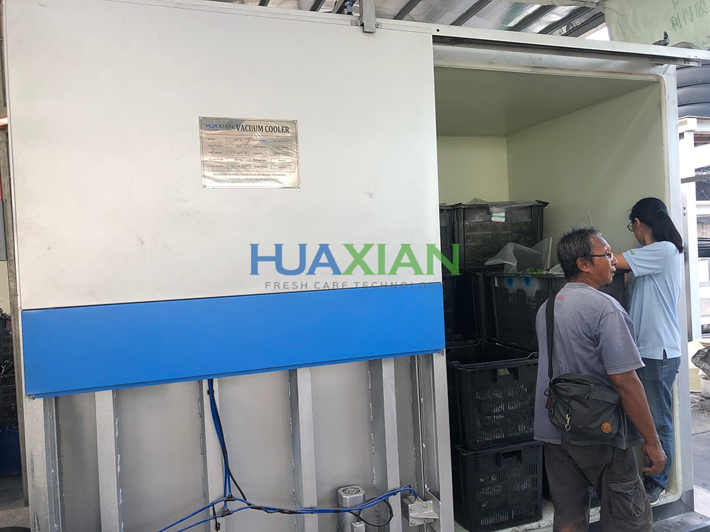 Máquina de enfriamiento al vacío para clientes de Malasia