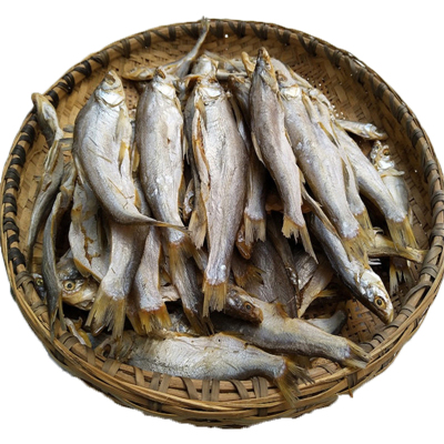 Dryer machine-seafood