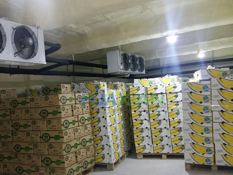 Cámara frigorífica de maduración para plátano