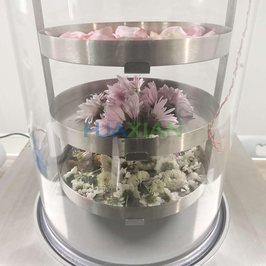 Testing Vacuum Freezer Dryer for Flower
